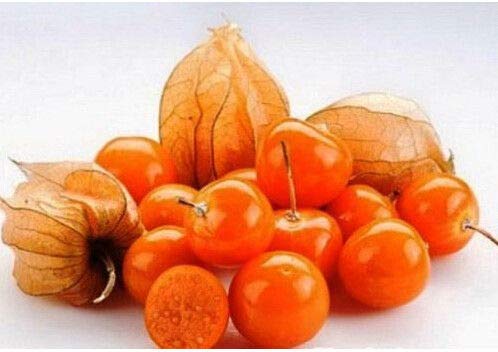 Portal Cool 100 Pcs Physalis Strawberry for Garden Vegetable Bonsai Organic Russian Ukraine - Thumbnail 3