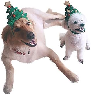 amazon dog christmas