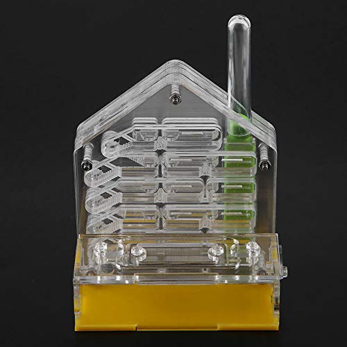 Ant Housing Nest Acrylic Ant Villa Farm House Plastic Display Box ...