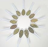 Wicca or Hoodoo Herb Spell Kit - Witchcraft Healing Herbs + Magickal Herbs eBook by Witch SuperCenter