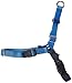 PetSafe Easy Walk No-Pull Dog Harness - The Ultimate Harness to Help Stop Pulling - Take Control & Teach Better Leash Manners - Helps Prevent Pets Pulling on Walks, Medium, Royal Blue/Navy Blue