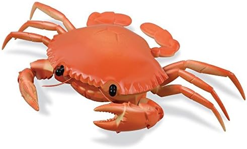 Coldtoy Robotic Remote Control Crab, Orange color, Simulation RC Animal Toy, Funny Novelty Prank toy, Best for Children Christmas Gift