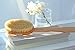 ELEMIS Body Detox Skin Brush - Exfoliating Body Brush