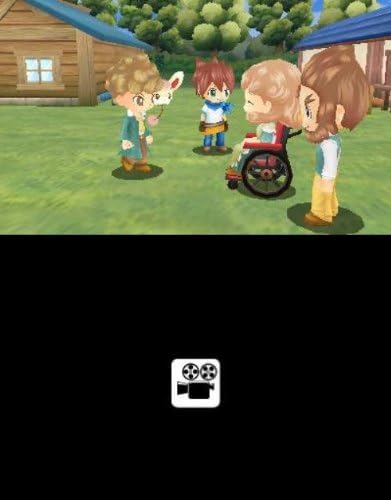 Amazon ホームタウンストーリー 3ds ゲームソフト