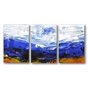 3 Panel Canvas Wall Art Abstract Oil Painting Pictures Home Wall Decorations for Bedroom Living Room Paintings Canvas Prints Framed - 16"x24" x 3 Panels