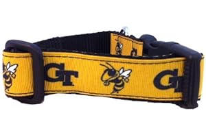 ALL STAR DOGS NCAA Georgia Tech Yellow Jackets Dog Collar (Team Color, Small)