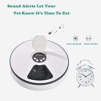 Amazon Com Love Dream 6 Meal Automatic Pet Feeder For Cats Dogs