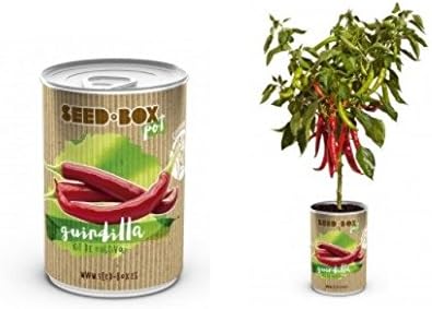 Huerto urbano pequeño – LATA de Cultivo casero de GUINDILLAS ...