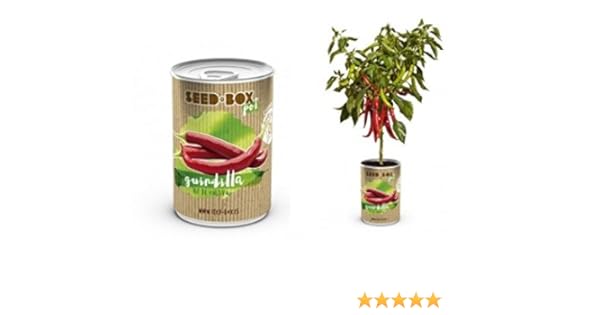 Huerto urbano pequeño – LATA de Cultivo casero de GUINDILLAS ...