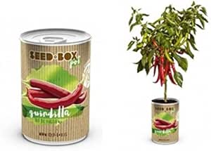 Huerto urbano pequeño – LATA de Cultivo casero de GUINDILLAS ...