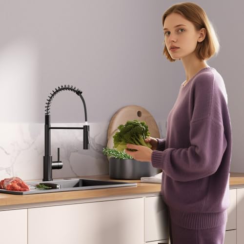 CECIPA Black Kitchen Tap with Spring and 2 Types of Jet, High Arc Kitchen Mixer Tap Black with Pull-Out Shower, 360° Swivel Sink Tap, Stainless Steel Mixer Tap