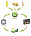 Regal Flame Ventless Bio Ethanol Fireplace Fuel (1 Gallons)