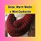 Livro GOLAS, WARM - NECKS E MINI CACHECÓIS DE TRICÔ
