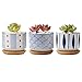 T4U 3 Inch Ceramic Succulent Planter Pots with Bamboo Tray Set of 3, Japanese Style Porcelain Handicraft as Gift for Mom Sister Aunt Best for Home Office Restaurant Table Desk Window Sill Decoration