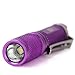 GLAREE E03 Keychain Flashlight, CREE LED 150 Lumens Mini Torch AAA Battery EDC Pocket Penlight Portable Emergency Light, Purple