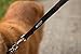 Leash Boss Short Dog Leash with Padded Handle - 12, 18, and 24 Inch Leads for Large Dogs - 1 Inch Nylon (18 in, Black/Red/Gray)