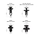 Honda 200 Fastener Kit