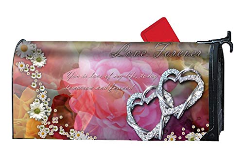 Taocaihop The Beautiful Artistic Love Mailbox Cover Standard