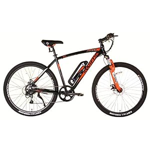 Swifty Electric Mountain Bike