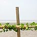 Bond SMG12068 Miracle-Gro Super Pole, 5ft x 1in Bamboo Stakes, 4 Pack, Natural