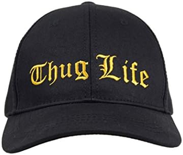 Dahee Unisex Life Baseball Peaked Cap Cosplay Costume accessories Flat Hat (One Size, 2)