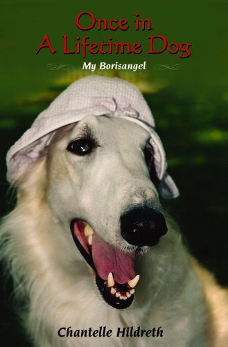 Once In A Lifetime Dog My Borisangel - 