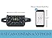 Womens Elegant Leather Fanny Pack Cute Waist Pouch Stylish Travel Cell Phone Waist Bag with Two Belt