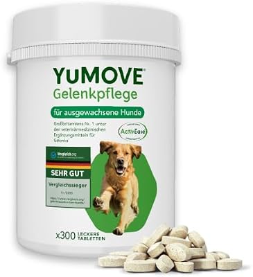 TESTSIEGER Gelenktabletten Hund 2–7 Jahre – 300 Tabletten ActivEase