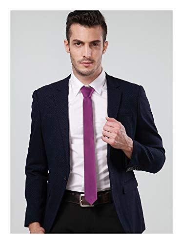 Landisun Skinny Purple Tie Silk Tie Satin Slim Necktie Exclusive 2 inch