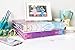 bloom daily planners Binder (+) 3 Ring Binder (+) 1 Inch Ring (+) 10