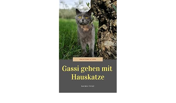 Gassi Gehen Mit Hauskatze Anleitung Und Tipps German
