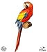 GT Graphics Red Macaw Beautiful - 5