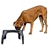 OurPets Elevated Bone Feeder Raised Dog Bowls Feeding Station
