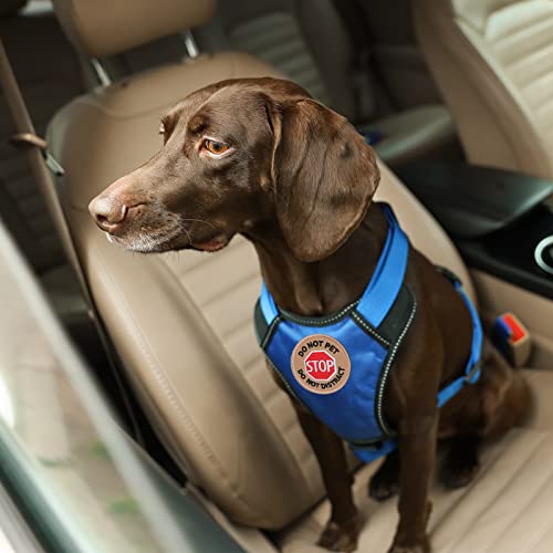 TACVEL 13 Pieces Dog Vest Patches, Service Dog Patches, Ask to Pet Do Not Pet Patch, Vest Removable Tactical Patches Hook and Loop Harness American Flag Dog Patches Set for Dog Harness Vest Collar