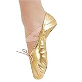 Adult Womens Glitter Ballet Dance Slipper Exercise Paw Shoes Soft Golden 42#