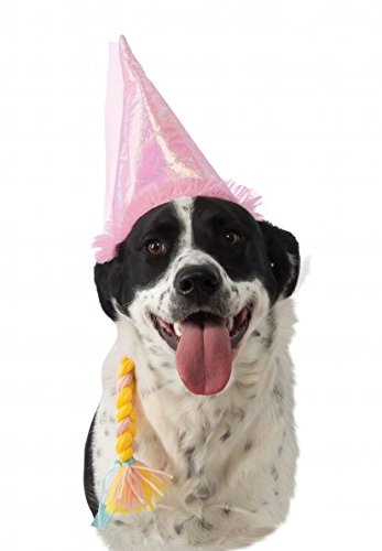 Rubies Costume Princess Dog Hat with Braid