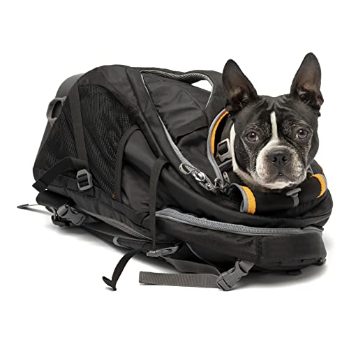 kurgo k9 backpack