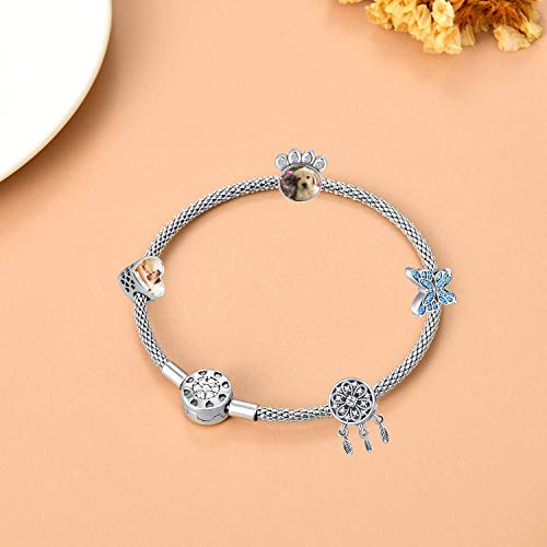 butterfly anklet pandora