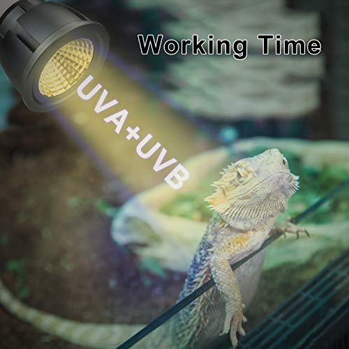Honpal Led Reptile Light, LED UVA + UVB Sun Lamp for Amphibian Turtle Bearded Dragons Chameleon Lizard and Snake to Reptile Heat lamp.(3W)