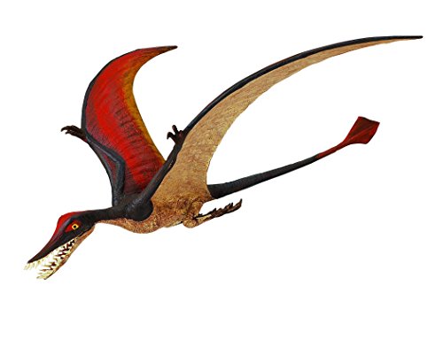 Safari Ltd  Wild Safari Rhamphorhynchus