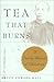 TEA THAT BURNS: A Family Memoir of Chinatown by Bruce Hall
