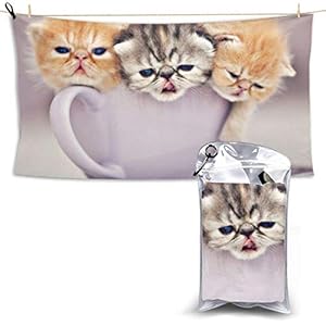 XCNGG Quick Dry Bath Towel, Absorbent Soft Beach Towels, Orange Cats for Camping, Backpacking, Gym, Travelling, Swimming,Yoga 28.7” X 51”