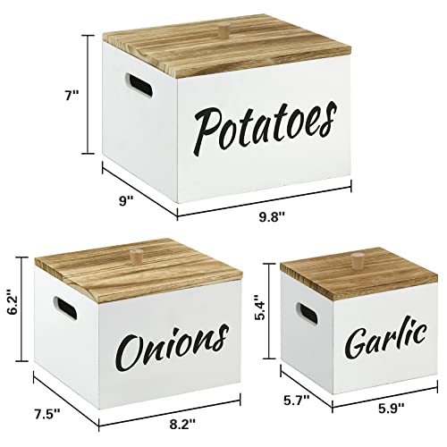Potato and Onion Storage Bin Set of 3, Farmhouse Kitchen Storage Container Set for Potato Onion