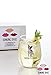 Drinking Divas Pardon My Frenchie Wine Glass - Stemless 15oz Wine & Cocktail| For Dog & French Bulldog Lovers | Cute & Funny Gift for Mom, Wife, Sister, Bestie, Women | Christmas, Birthday Present…
