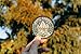O'Houlihans - Happy Camper Patch - Adventure Travel Hiking Camping Patch - Iron on Patch