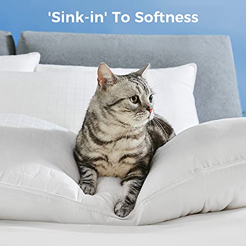 soft supportive pillow