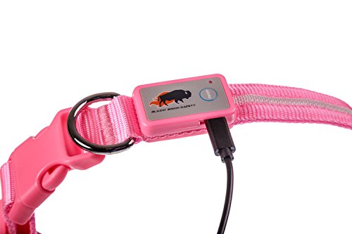 Blazin' Safety LED Dog Collar - USB Rechargeable with Water Resistant Flashing Light - Medium Pink