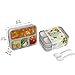 Deluxe Bento Lunch Box Set, 2 Leakproof Containers With 4 Compartments, FDA Approved and BPA-Free Meal Box For Adults and Kids, Ideal For Food Prep and Meal Planning, By Bowlfarm