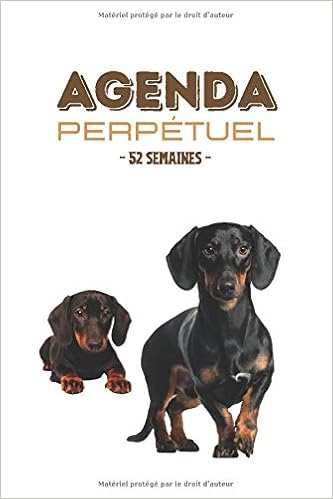 Agenda Perpetuel Format Moyen Agenda Universel De 52 Semaines Agenda 2020 2021 Chien Agenda Scolaire College Lycee Etudiant Agenda Ado Garcon Mensuel Chien Organiseur Agenda Chien Teckel Amazon Fr Every For Livres