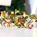 Hecaty 2 Strands Artificial Rose Garland Silk Flowers Hanging Rose Vine with Led String for Wedding Home Party Event Wreath Decor (Pink&Champagne)